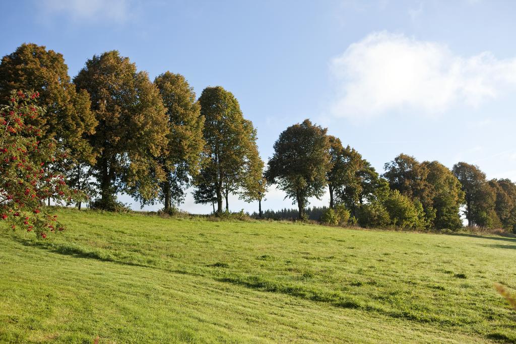 Hapimag Ferienwohnungen Winterberg Exteriér fotografie